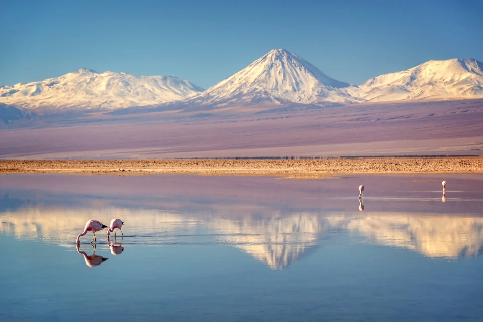 San Pedro de Atacama